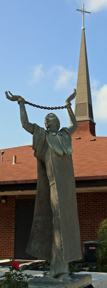 st-alban-roe-wildwood