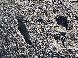 ‘Living with Elves and Fairies’ Conference: a paper on&nbsp;laumės